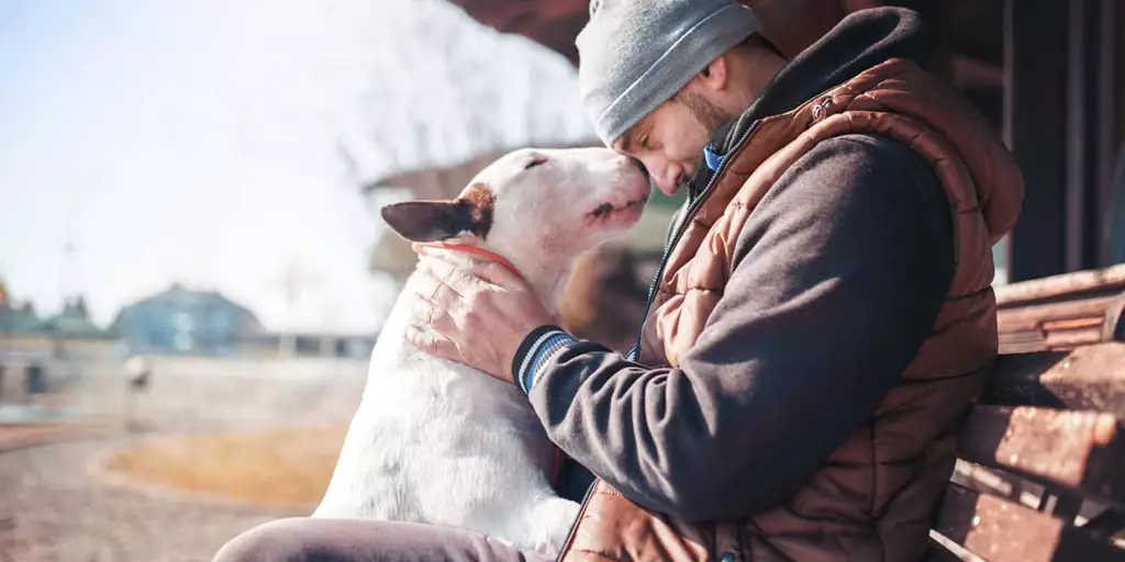 How to bond with your pet